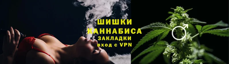 где купить наркоту  Нолинск  Конопля OG Kush 